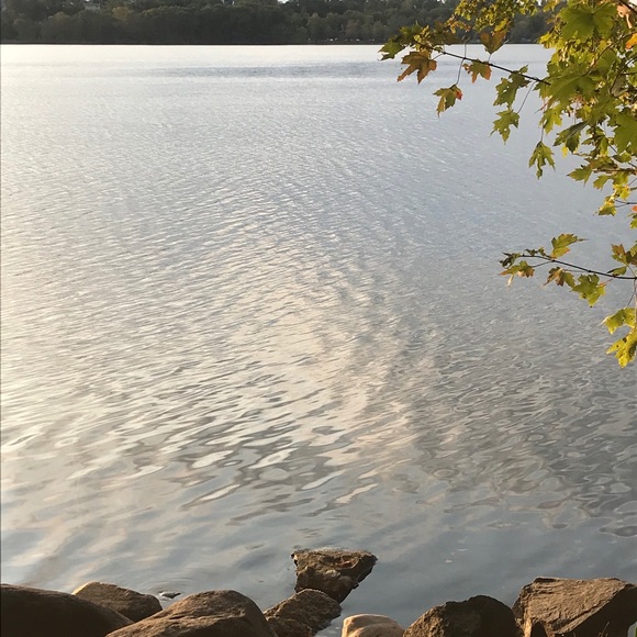 Meet your Posher, Cindy - Picture 10 of 12